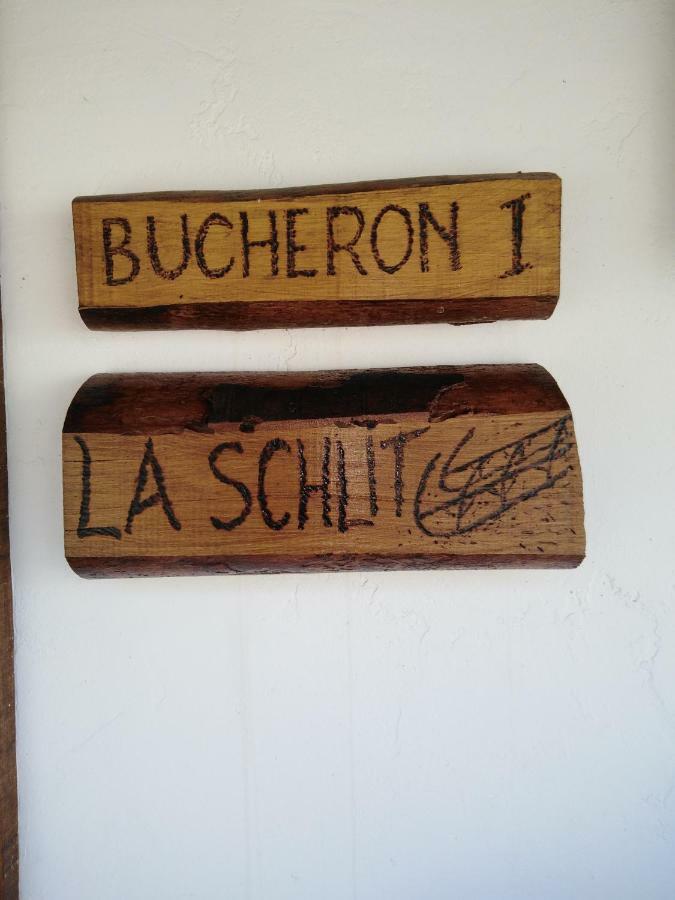 Le Gite Du Bucheron Dabo Екстериор снимка